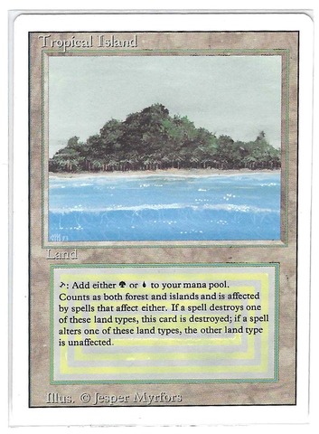 Tropical Island (#732)